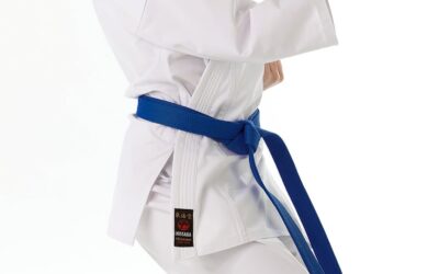 ZROD KARATE NENÍ JEN VYLOŽENĚ JAPONSKOU ZÁLEŽITOSTÍ