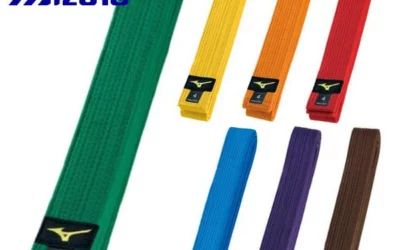 Jak a proč vznikly stupně kyu (nejen) v judu?