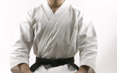 SEIZA – VÍŠ ODKDY A PROČ? JAKÝ MÁ VÝZNAM?